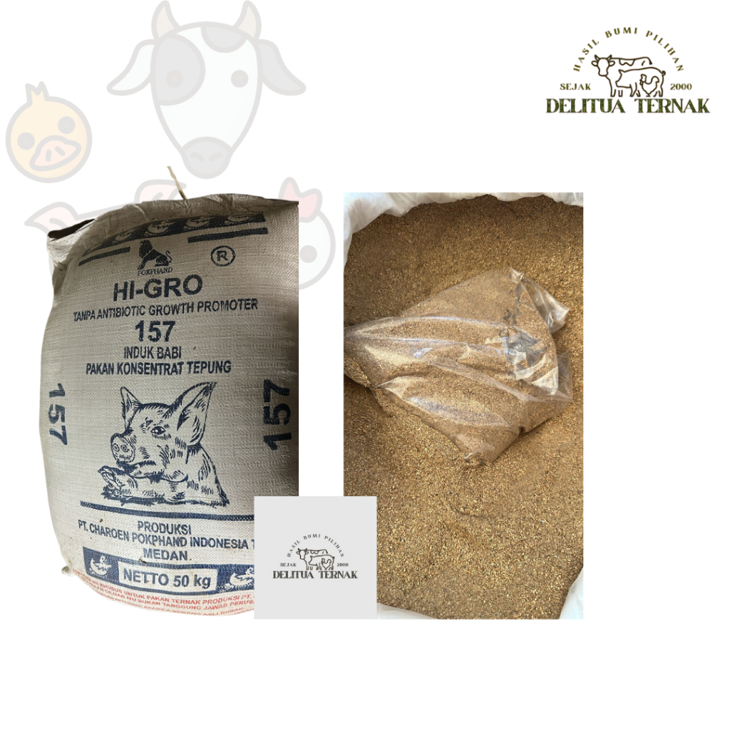 Jual GRO 157 – Pakan Konsentrat Tepung Induk Babi Per 1 Kg | Shopee ...