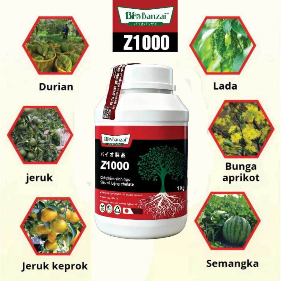 Detail DASHU Z1000