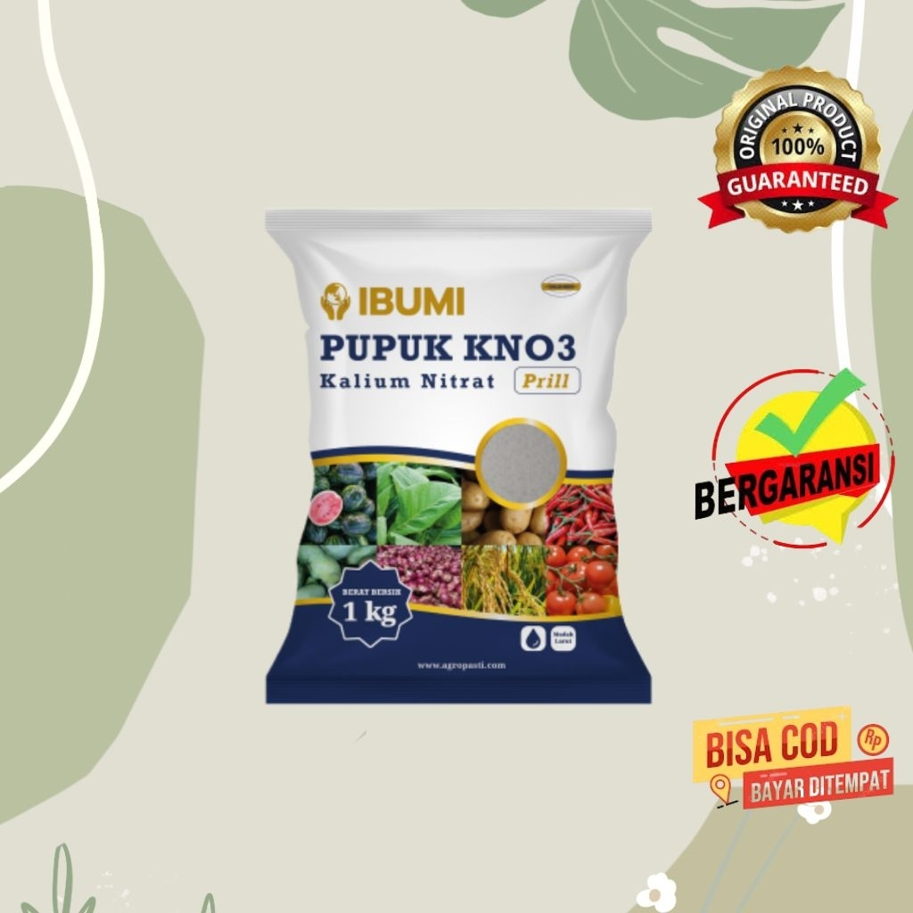 Jual KNO 3 PUTIH IBUMI 1 KG | Shopee Indonesia