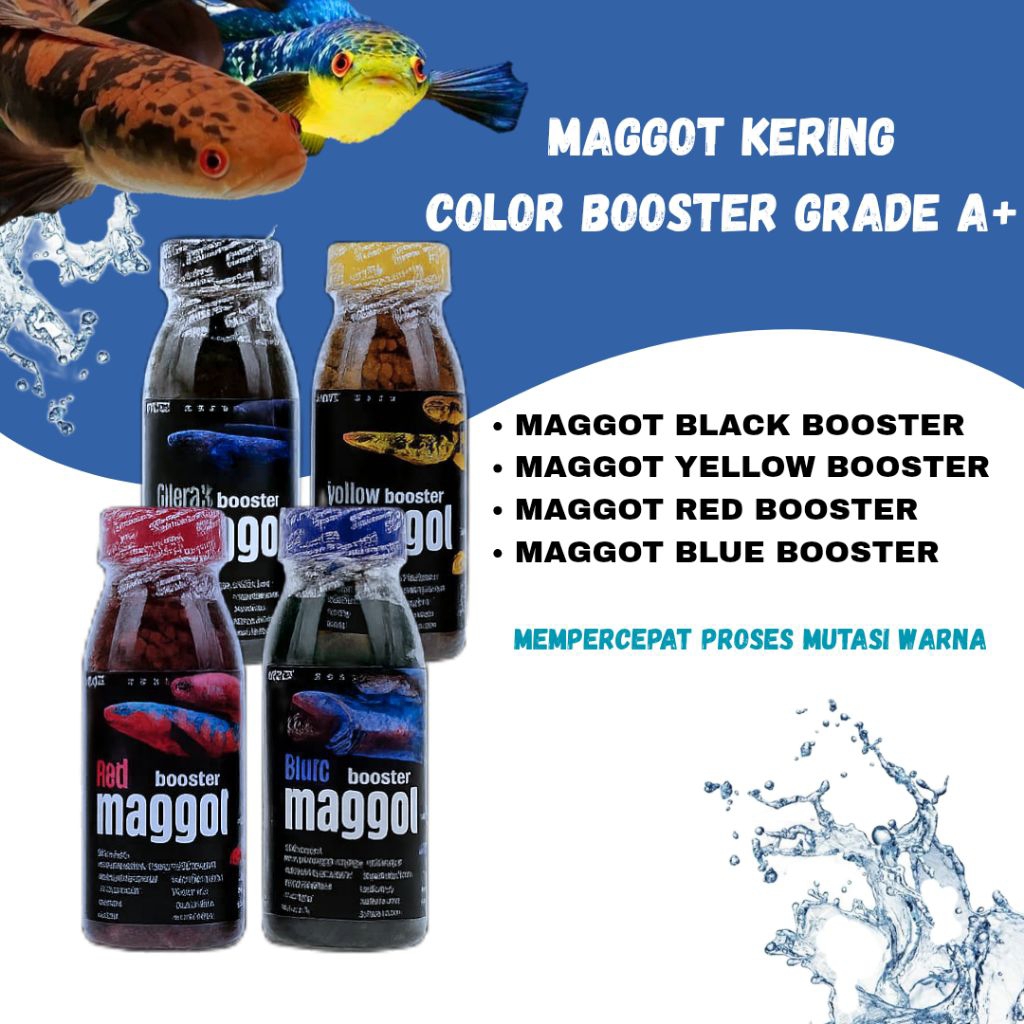 Jual MAGGOT KERING BSF COLOR BOOSTER GRADE A+ PAKAN IKAN PREDATOR ...