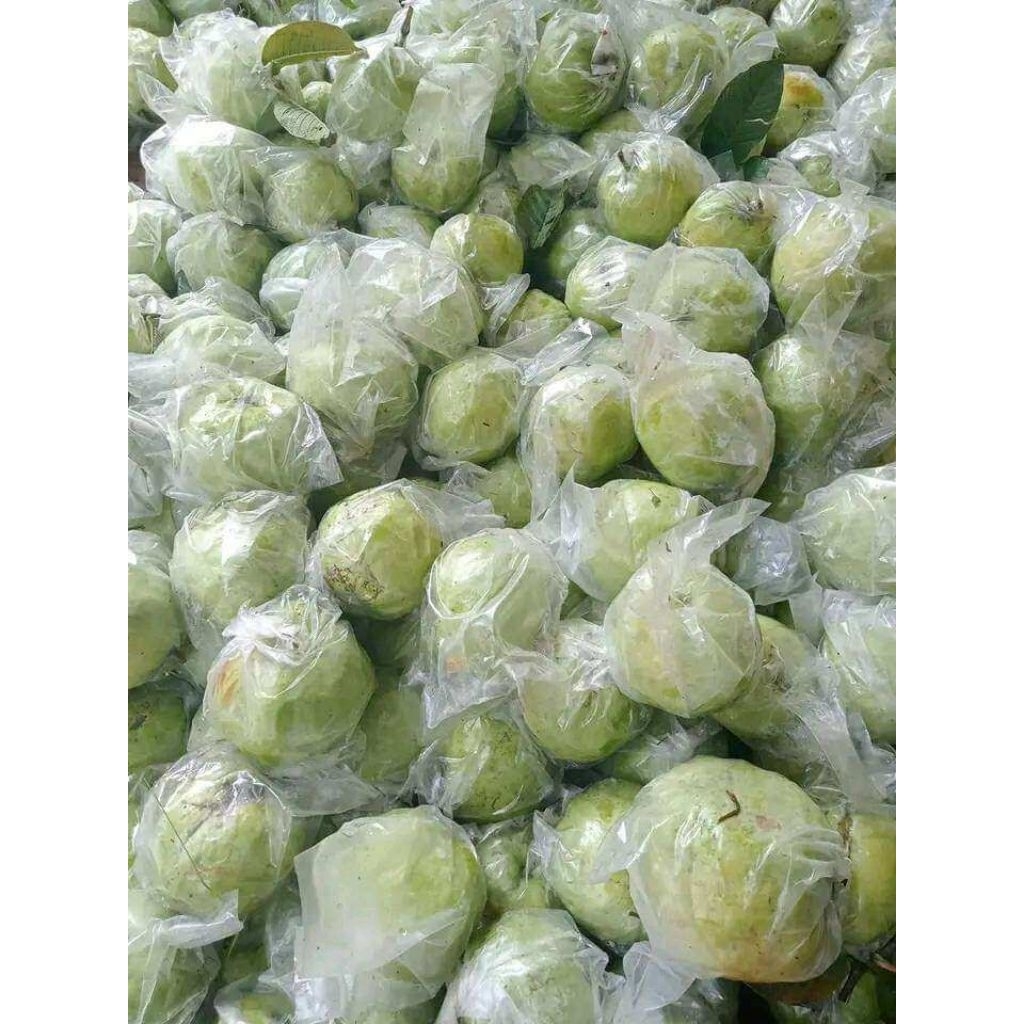 Jual Jambu Kristal kemasan 2kg isi besar kecil (Campur) | Shopee Indonesia