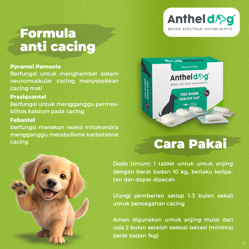 Jual Anthel Dog 2 Tablet - Obat Cacing Anjing Spektrum Luas | Shopee ...