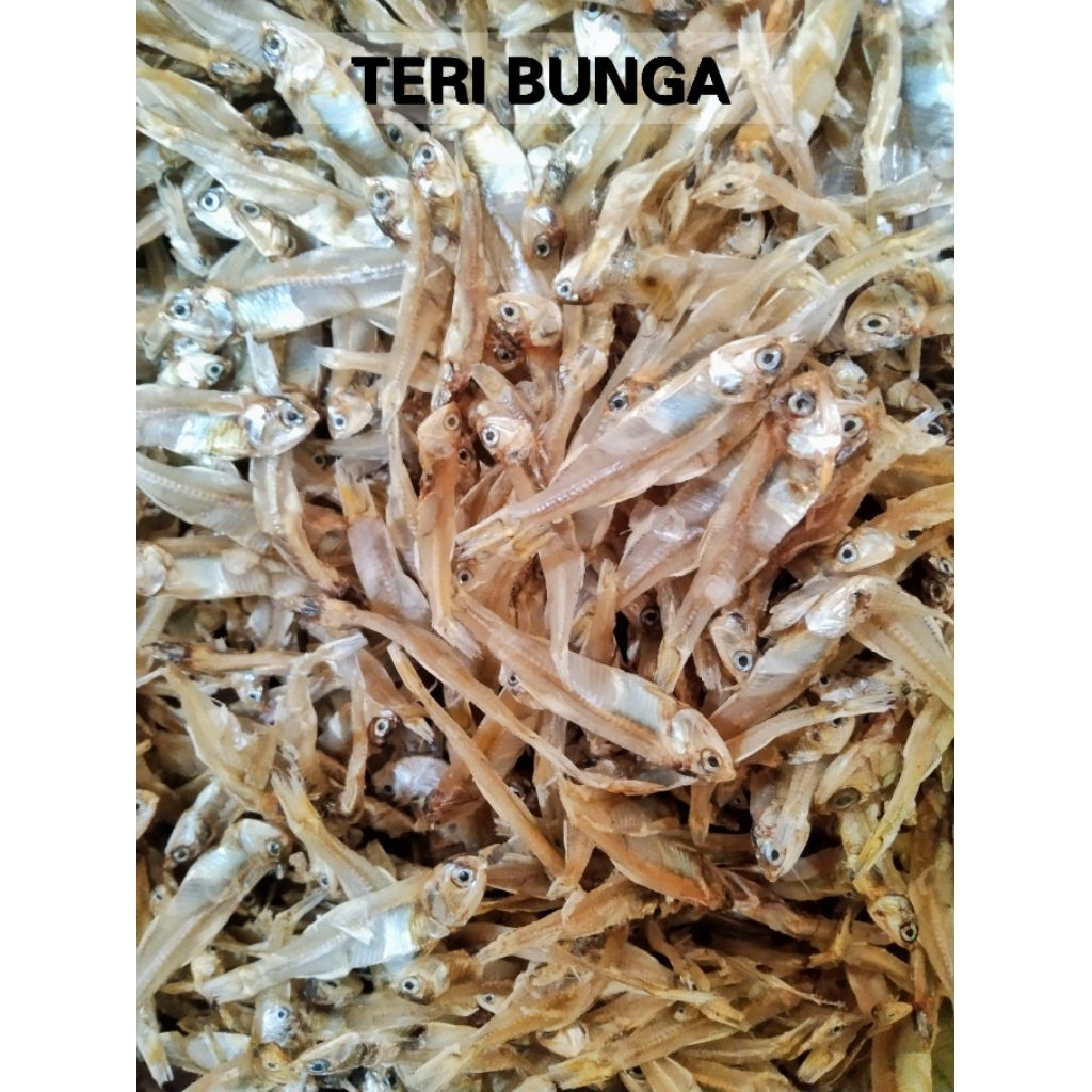 Jual 1KG Teri Bunga/Ceples Tawar kering termurah | Shopee Indonesia