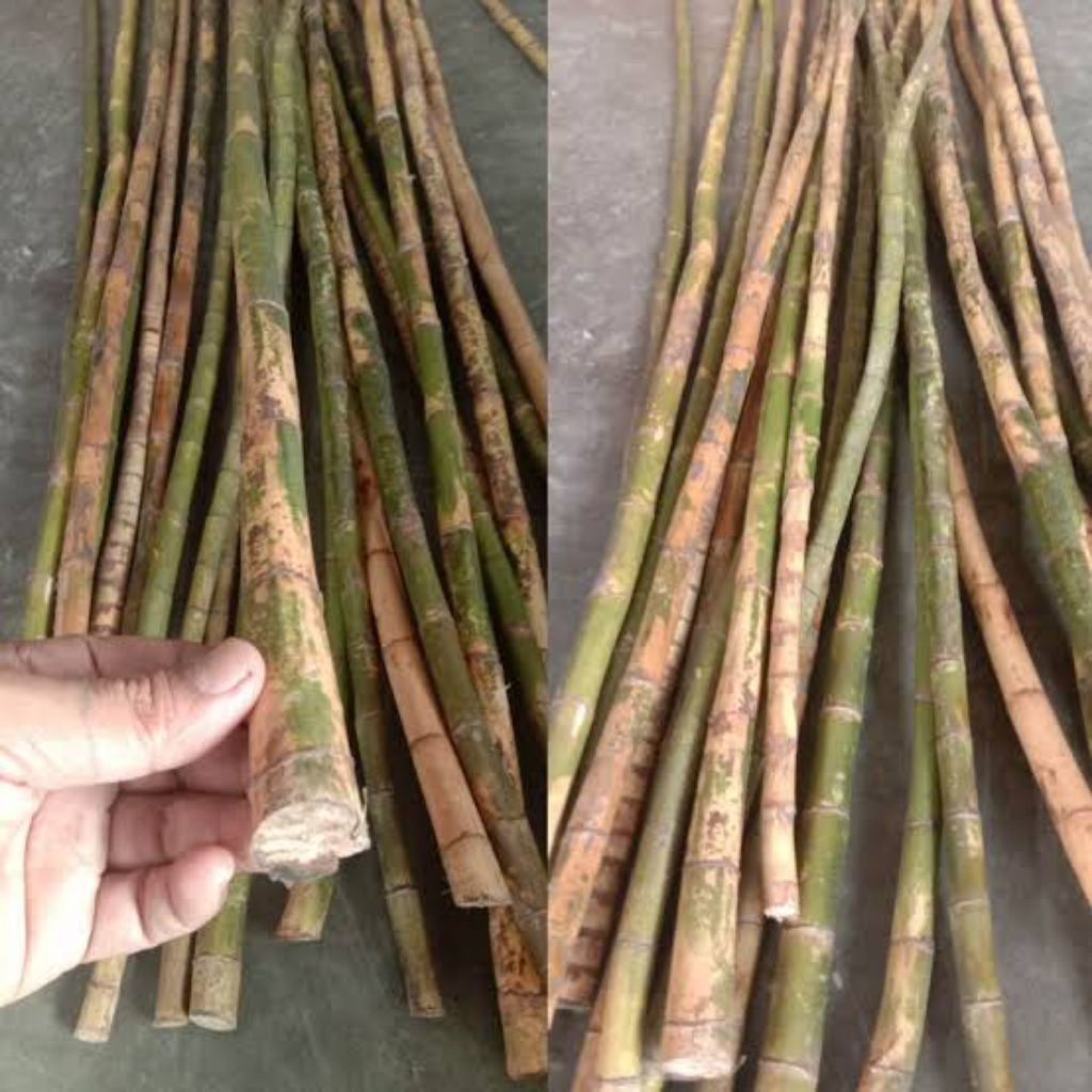 Jual Waregu Terlengkap & Harga Terbaru Juli 2026 | Shopee Indonesia
