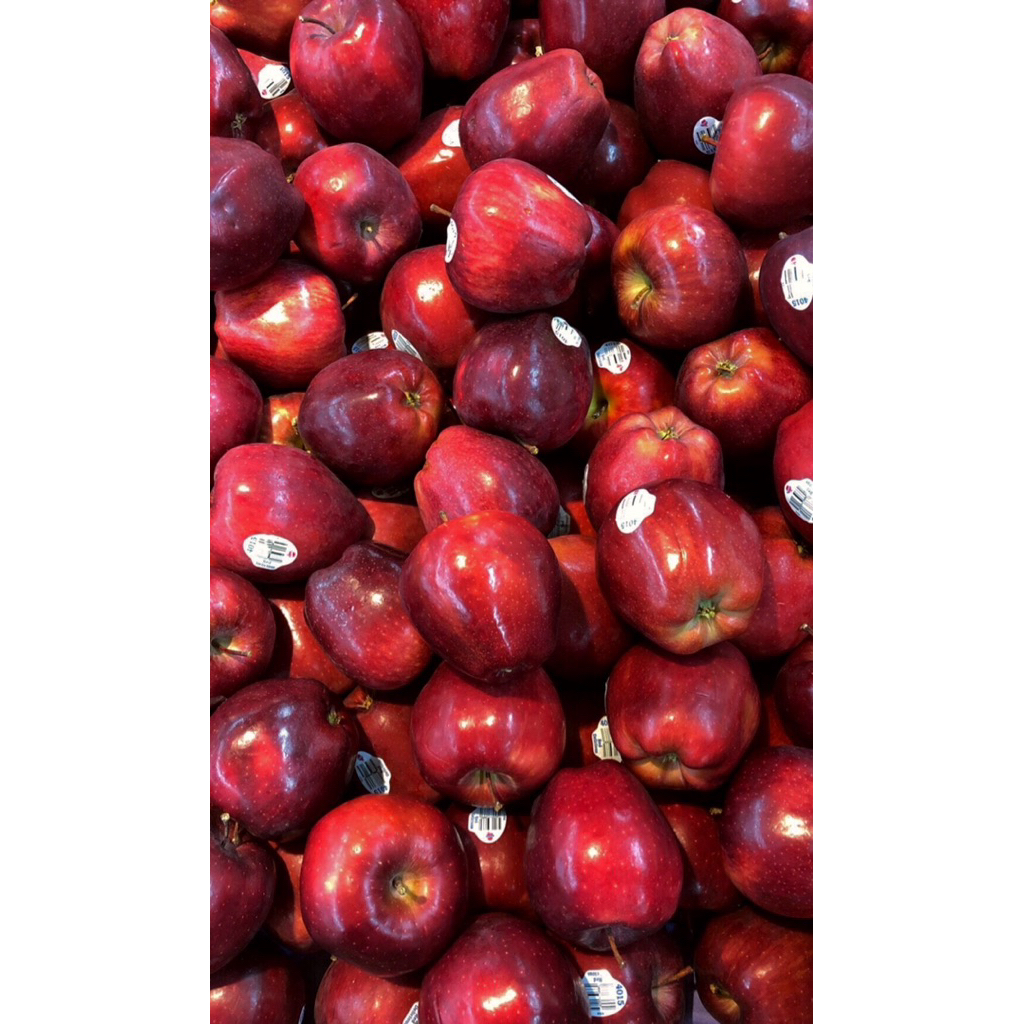 Jual Apel Merah Washington FRESH 1 kg & 500 gram | Shopee Indonesia