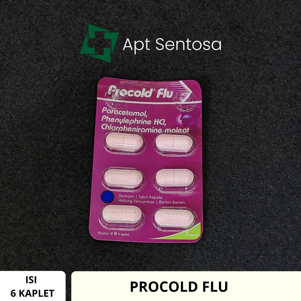 Jual Procold Flu 1 LEMBAR / Lembar | Shopee Indonesia