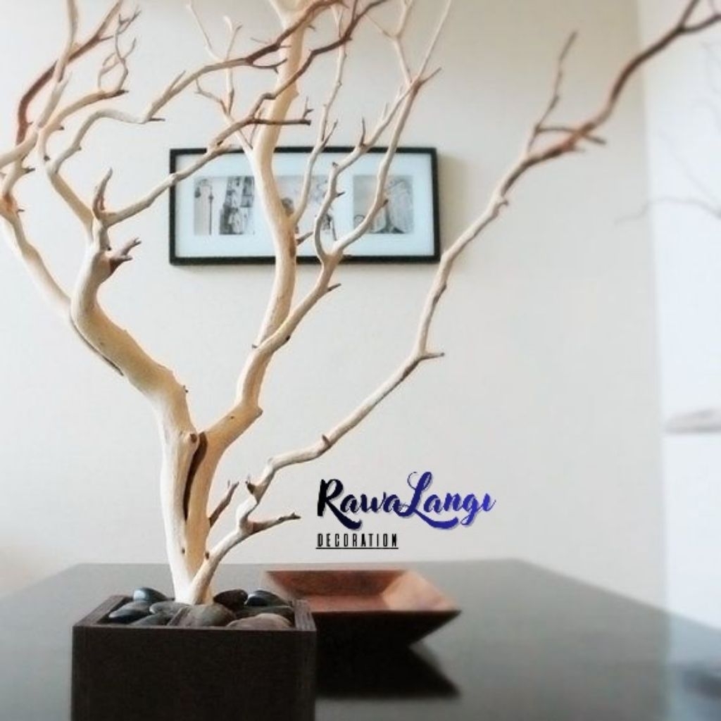 Jual Ranting Kayu Dekorasi Aesthetic Tinggi 1 meter Bunga Kering Pohon ...