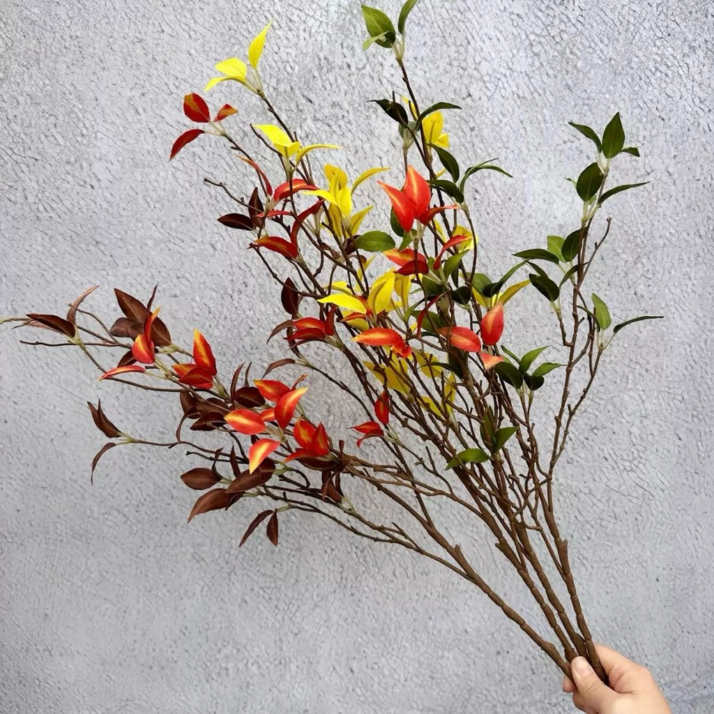 Jual Ranting Daun Terlengkap & Harga Terbaru April 2026 | Shopee Indonesia