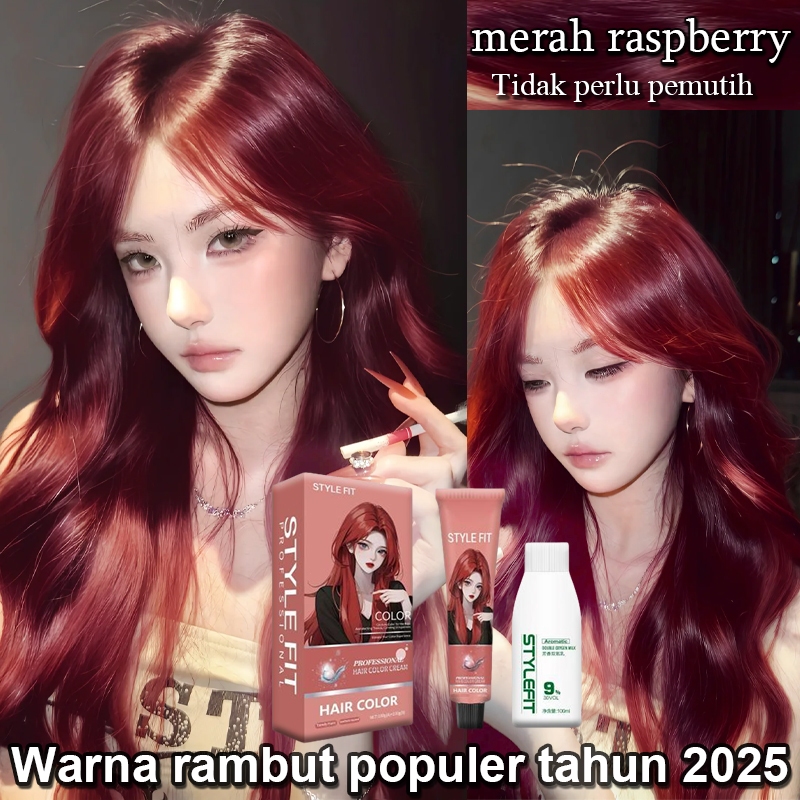 Jual Peluncuran produk baru STYLE FIT pewarna rambut merah 200ML Bahan ...