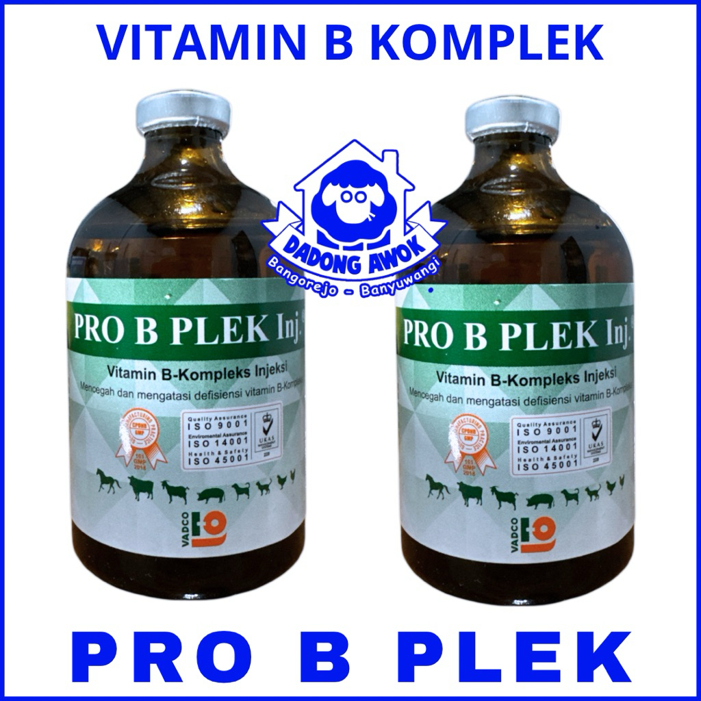 Jual PRO B PLEK INJ 100 ML - Vitamin B kompleks Hewan Sapi Kambing ...