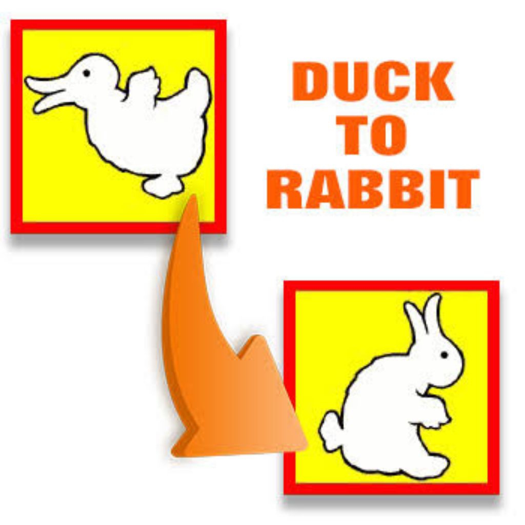 Jual SULAP DUCK TO RABBIT | Shopee Indonesia