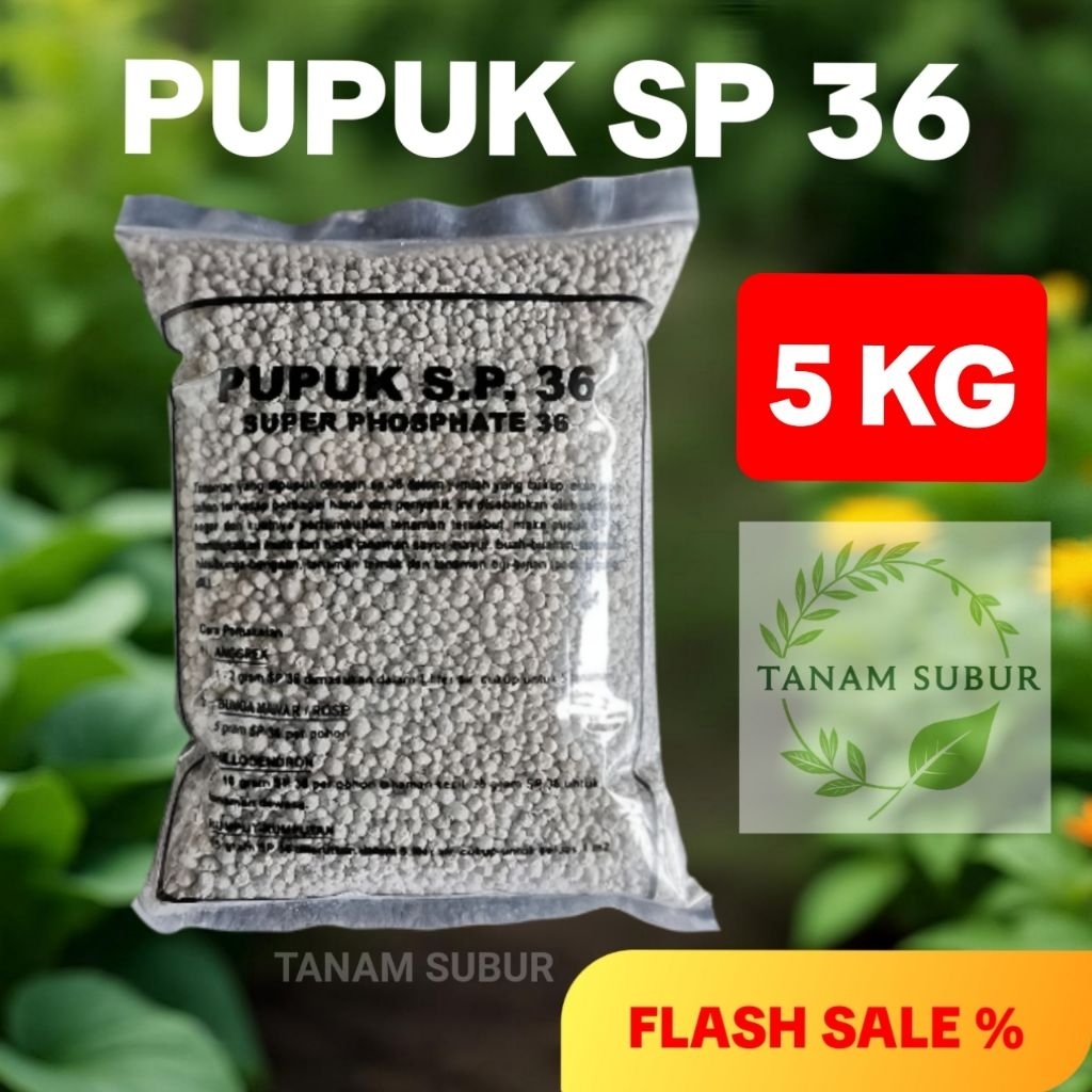 Jual Pupuk SP 36 5kg Original Kemasan Repack Pupuk Pelebat Buah TSP SP ...