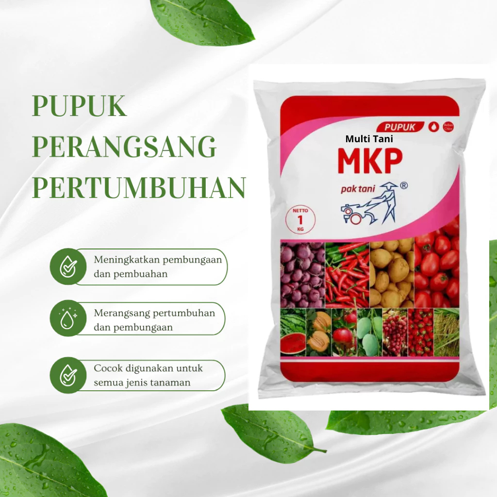 Multi Tani Pupuk Perangsang Pertumbuhan MKP Paktani 1 Kg Penyubur Tanaman