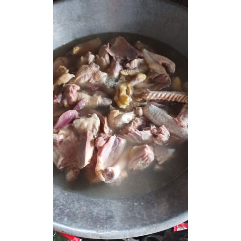 Jual Daging Karkas Entok/Menthog Murah | Shopee Indonesia