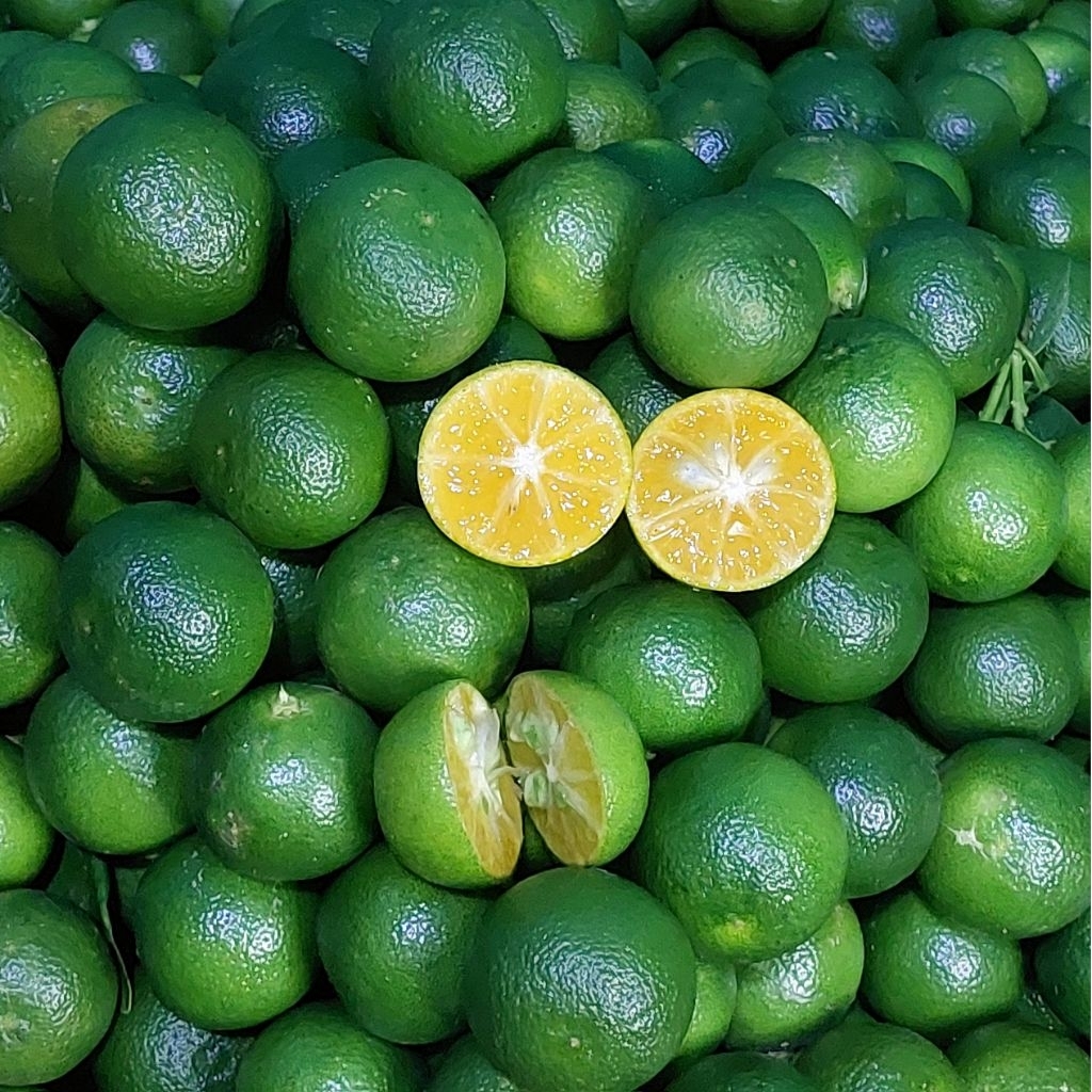 Jual 4kg Jeruk sonkit / jeruk kasturi / kalamansi / kunci / lemon cui ...