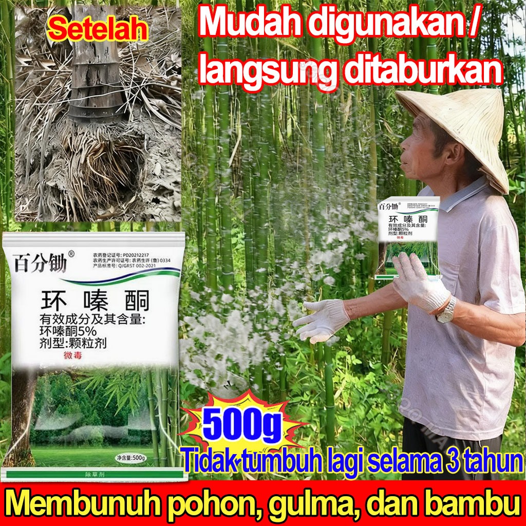 Jual Racun Pohon Besar Ampuh Obat Pembasmi Rumput Liar Racun Bambu ...