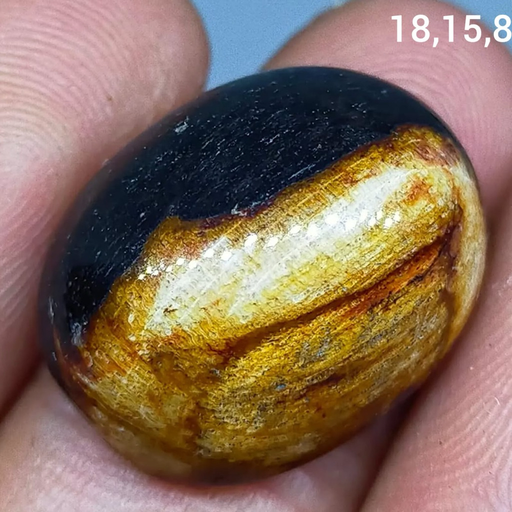Jual batu akik asli puser vosil kelor antik top hq natural (asli alam ...