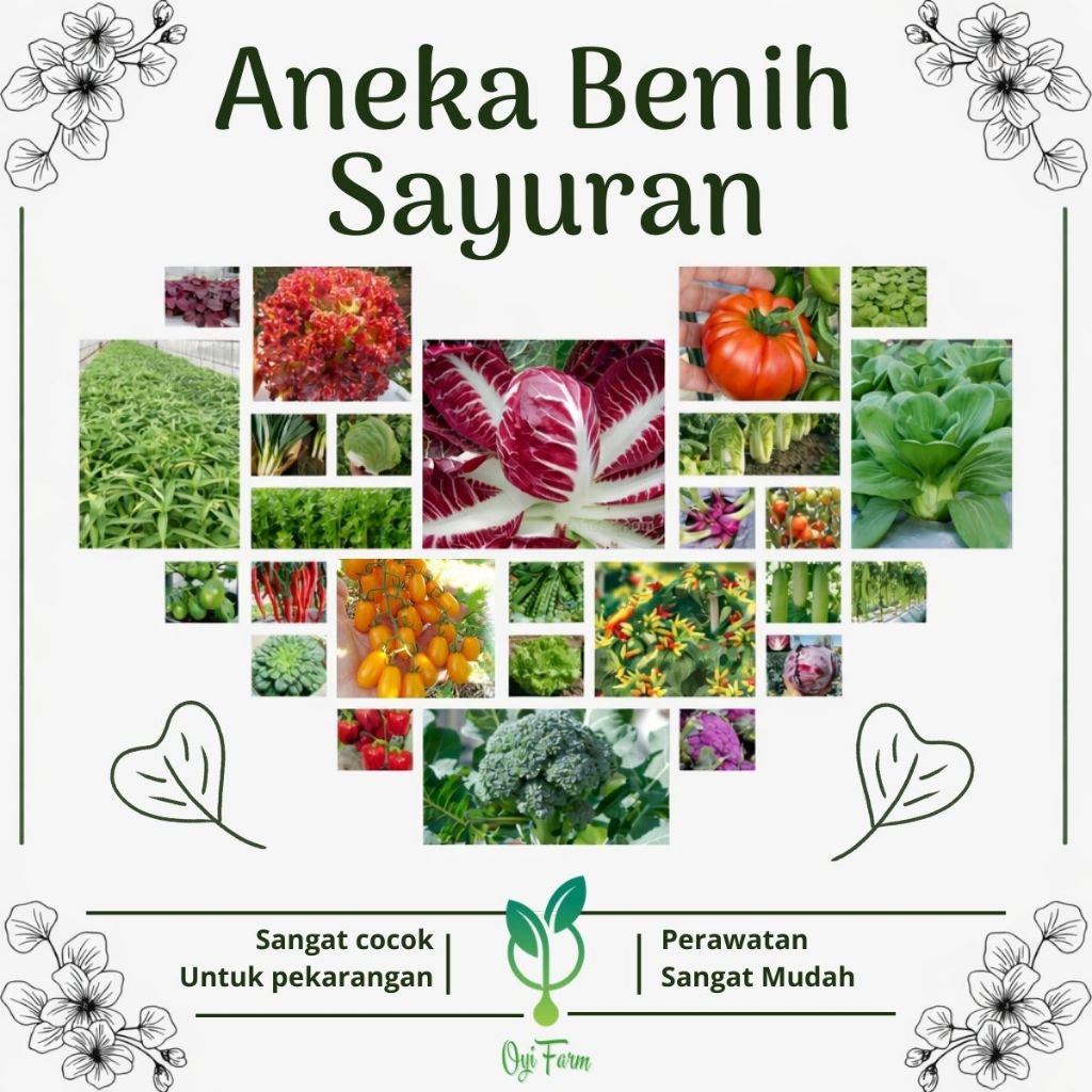 Benih Sayuran - Bibit Sayuran Mudah Perawatan Oyifarm