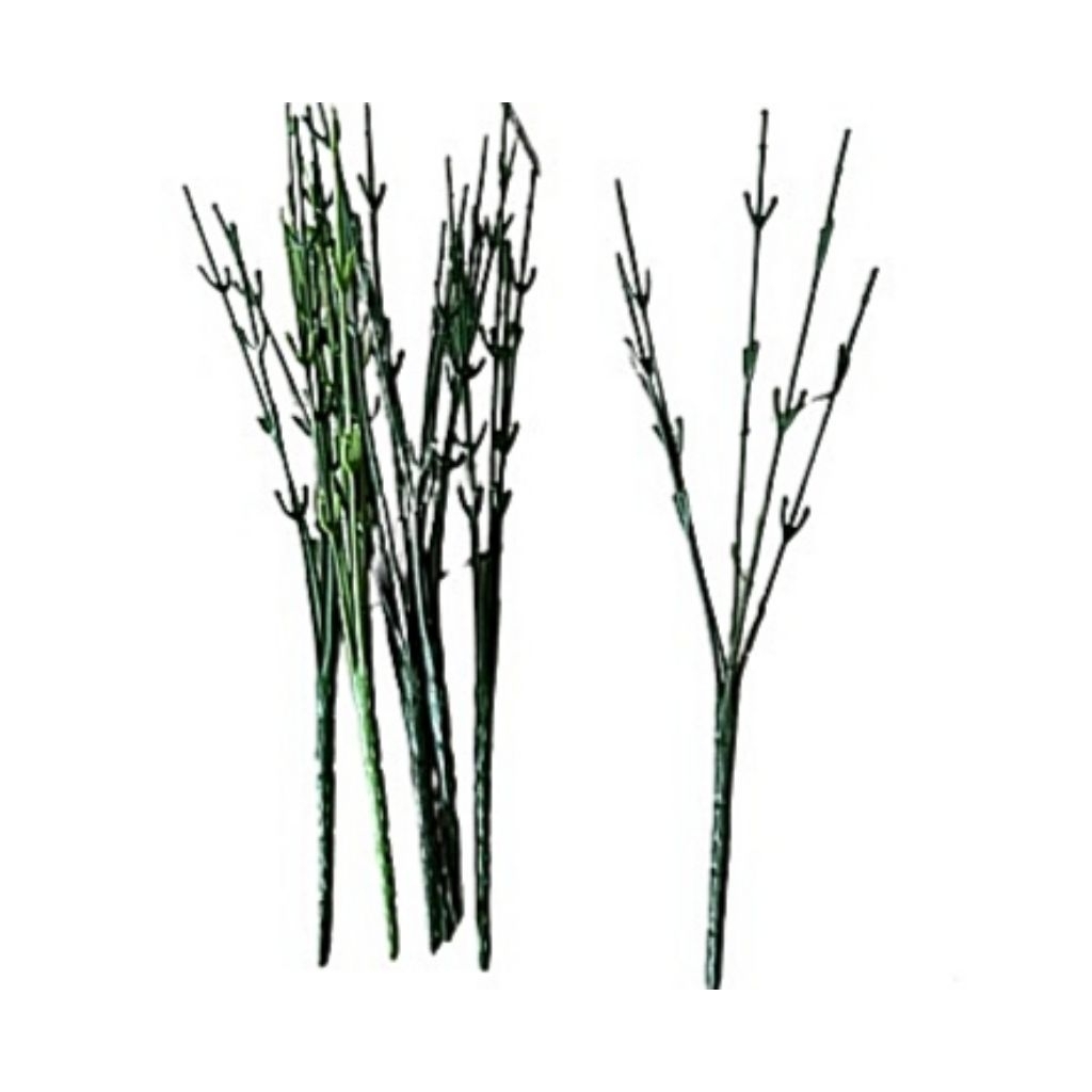 Jual Kawat Batang Cabang Kawat Kawat Hijau Tangkai Minimal 5 Pcs Kawat ...