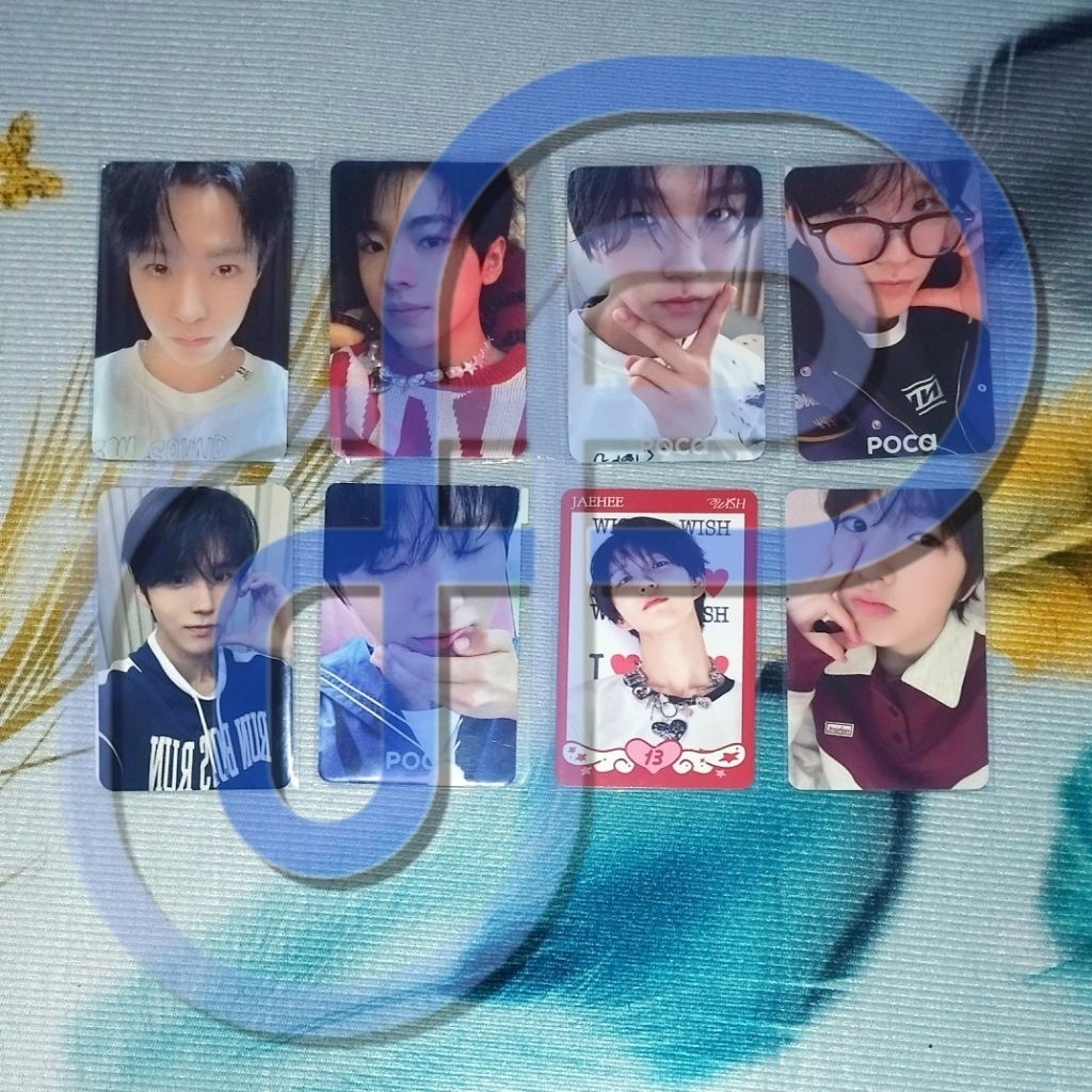 Jual Photocard NCT WISH - OFFICIAL from STEADY Album, Trading Card MD ...