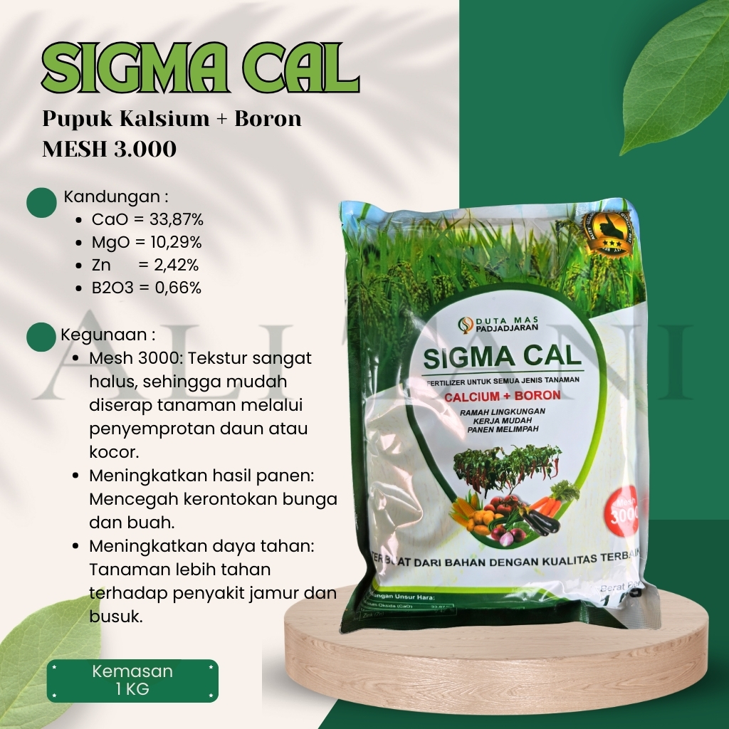 Jual SIGMACAL 1 KG MESH 3.000 Pupuk Kalsium + Boron/Borate Anti Rontok ...