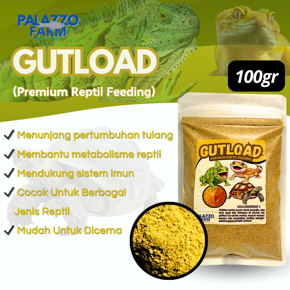 Jual Gecko Surabaya