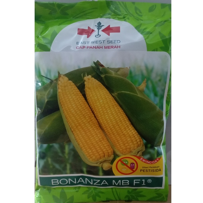 Jual Bonanza MB F1 3600 Butir | Shopee Indonesia