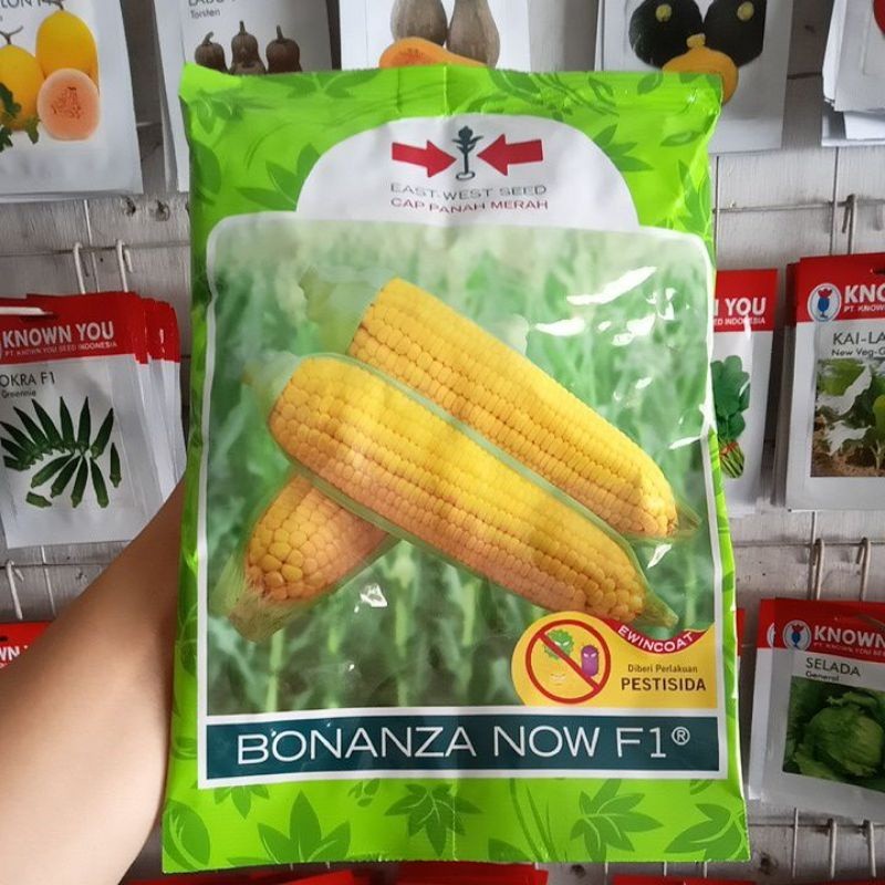 Jual PROMO COD!!!! Benih Jagung Manis BONANZA NOW / BONANZA MB F1 Cap ...