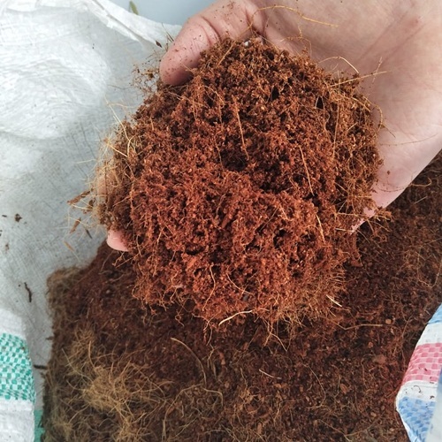 media tanam cocopeat 1 kg