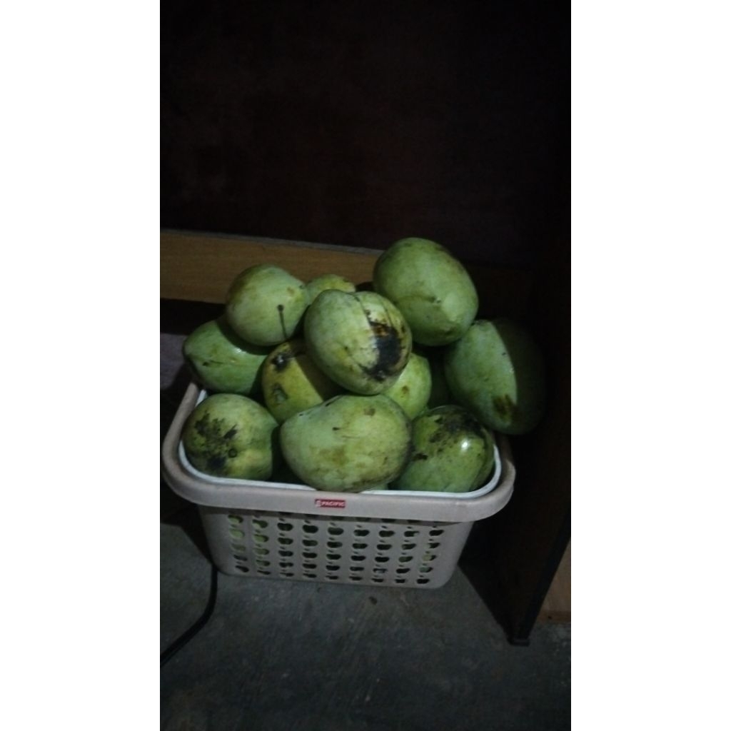 Jual mangga cengkir | Shopee Indonesia