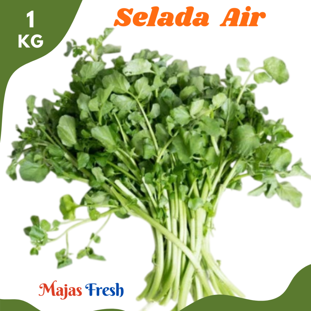 Jual SALADA AIR Hijau Segar - Sayur Selada Air Jembak Fresh | 1.000gr ...