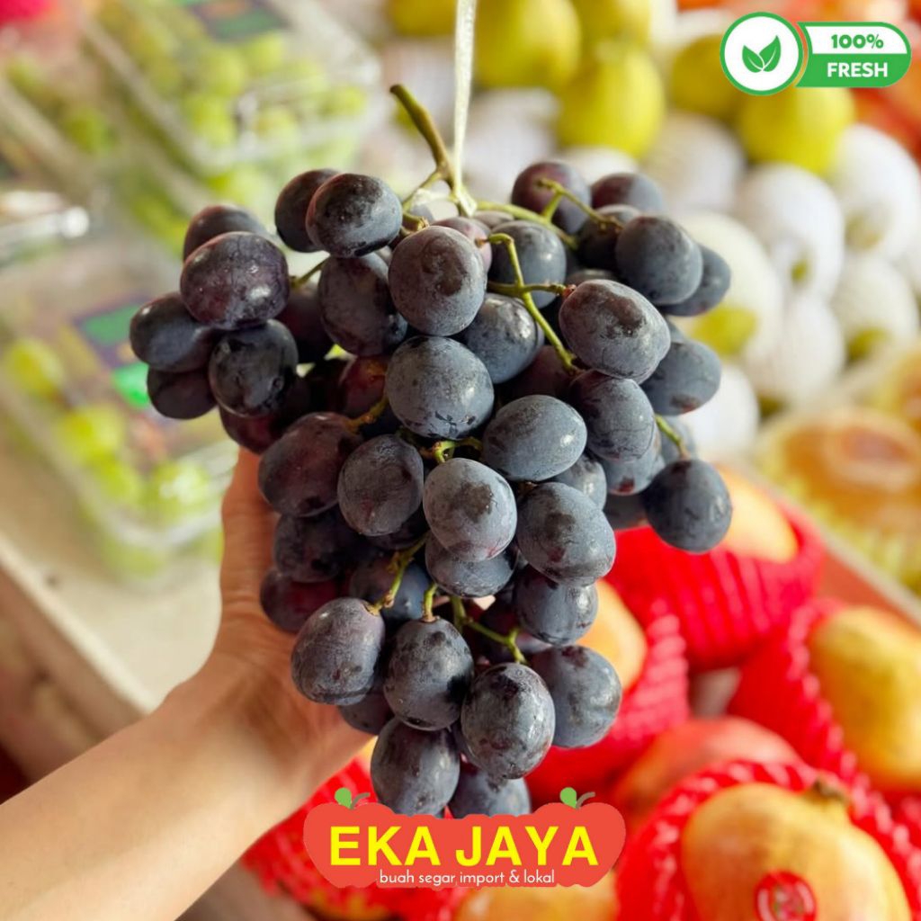Jual BUAH ANGGUR BLACK AUTUMN ROYAL 1KG NON BIJI MANIS AUS / ANGGUR ...
