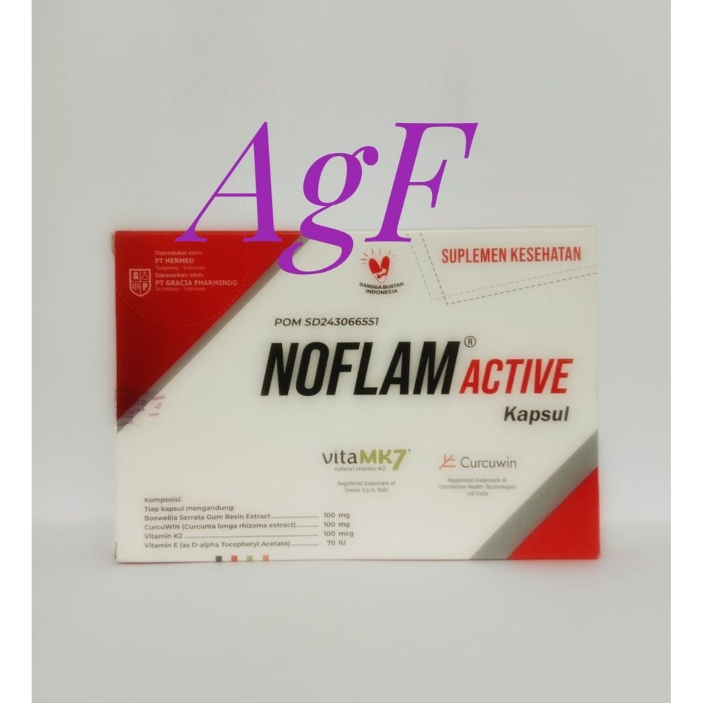 Jual Noflam Active isi 30 Kapsul (Gracia) | Shopee Indonesia
