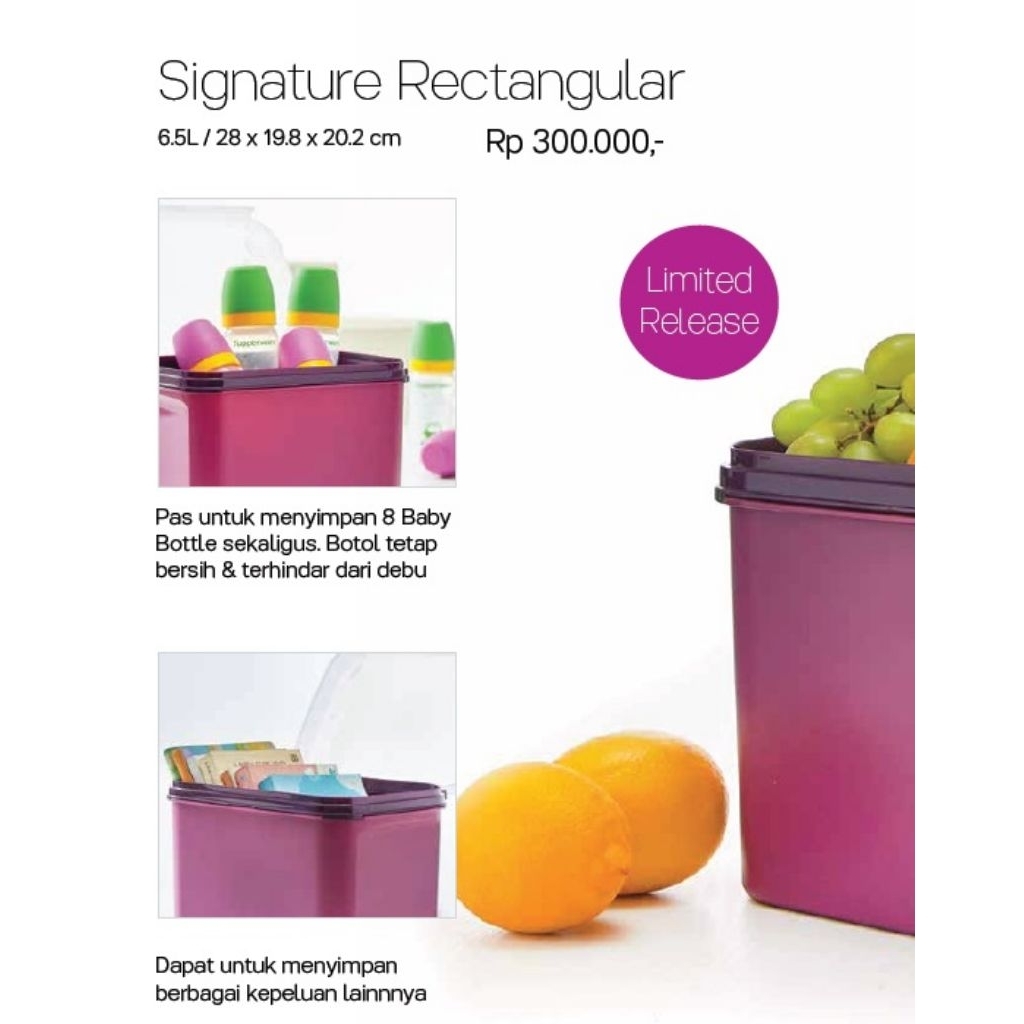 Jual Tupperware Signature Rectangular 6.5L / wadah serbaguna ...