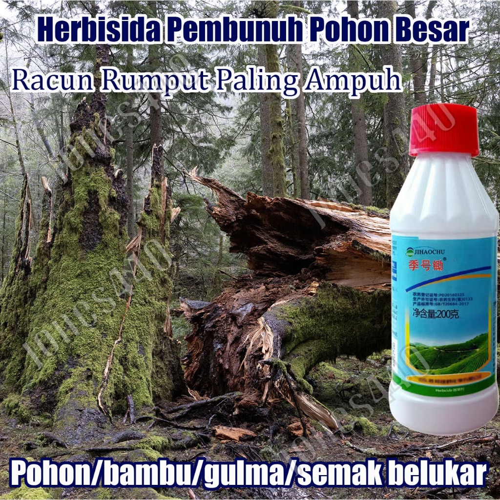 Jual Obat Pembunuh Pohon Besar Racun Pohon Besar Obat Pembasmi Bambu ...
