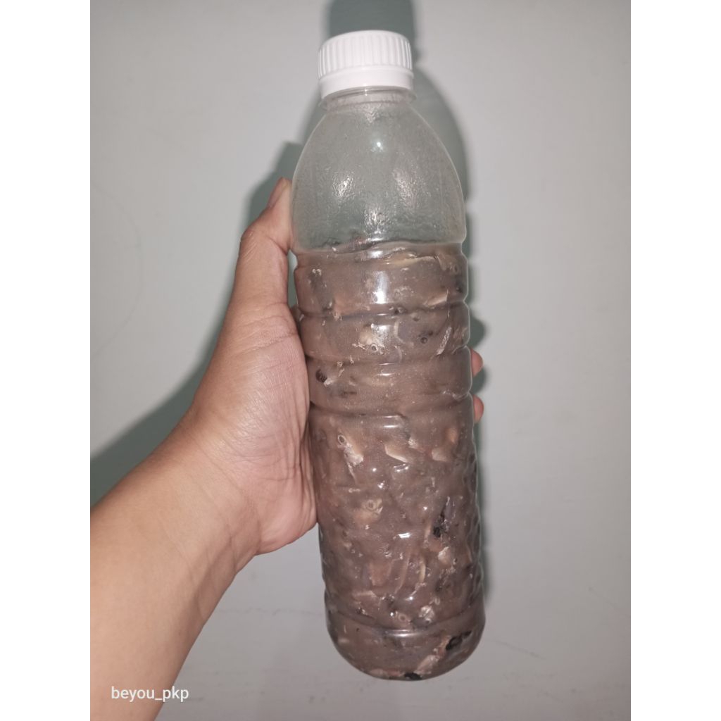 Jual Rusip ikan khas Bangka | Shopee Indonesia
