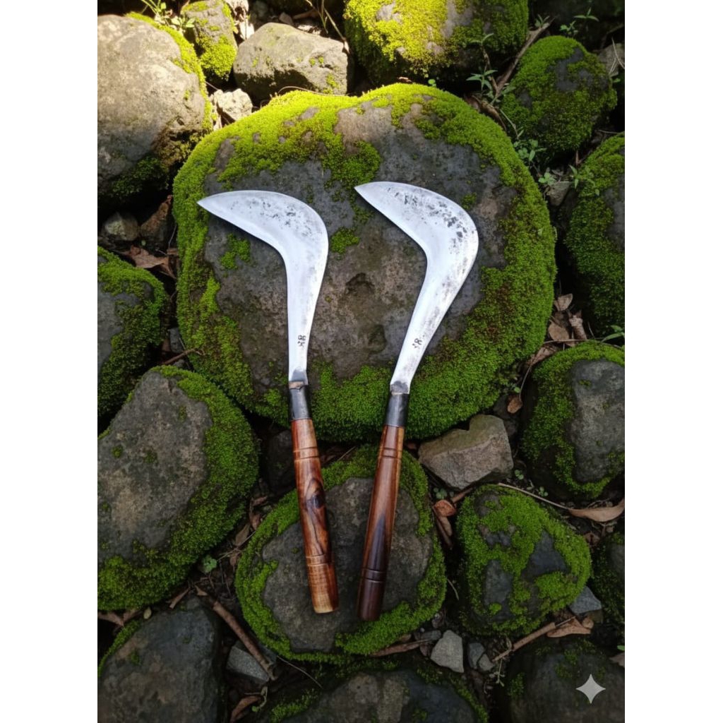 Jual Sabit Congkrang Model(KELONTONG) Sabit Baja Asli / Alat Pertanian ...