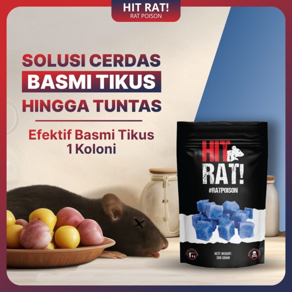 Jual RACUN PEMBASMI TIKUS KERING HIT RAT 100 GRAM RACUN TIKUS AMPUH ...