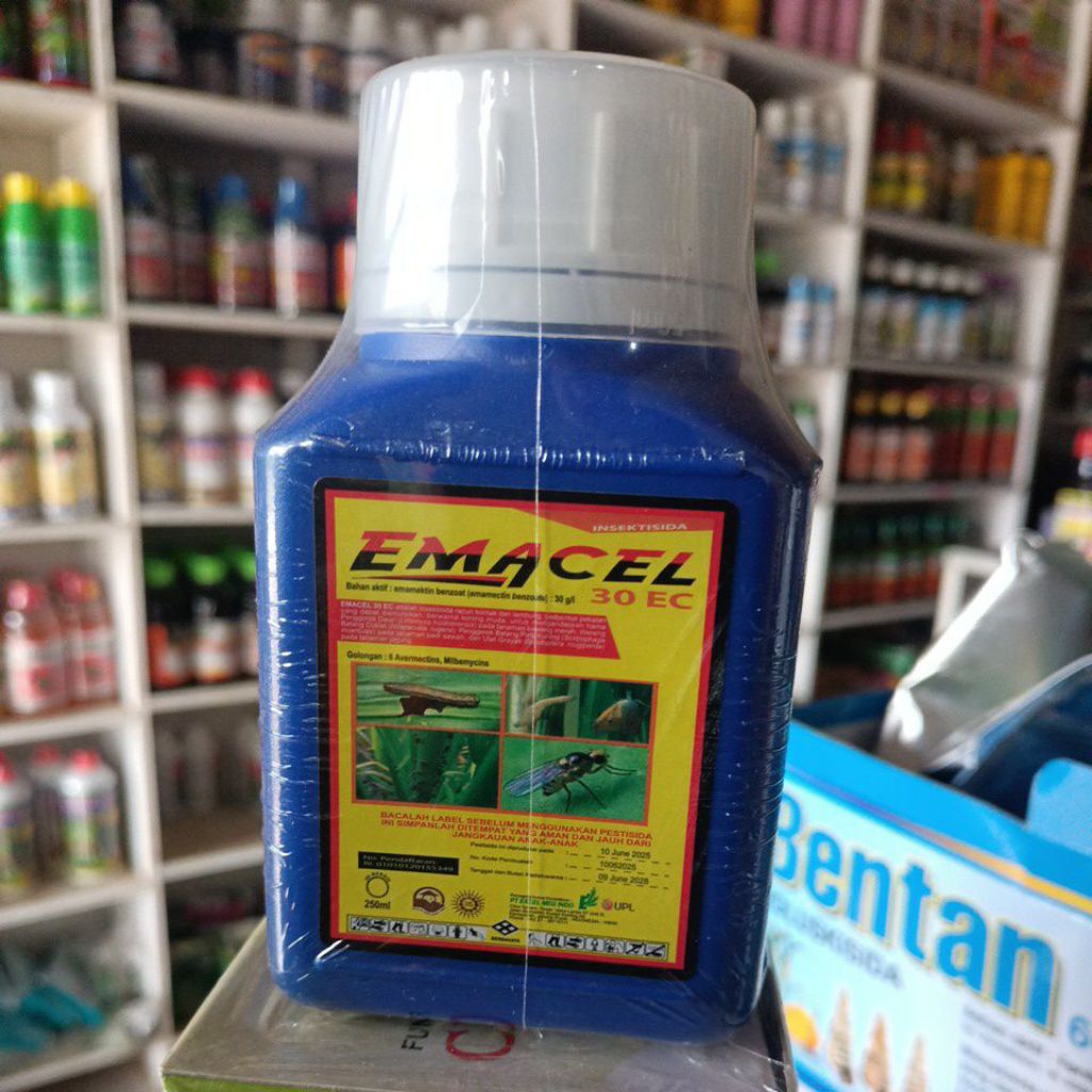 Jual Insektisida EMACEL 30EC 250ML Untuk Ulat Faw di Tanaman Jagung ...