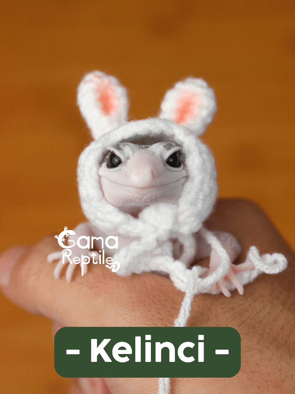 Jual Topi Rajutan Khusus Leopard Gecko | GamaReptile Product | Shopee ...