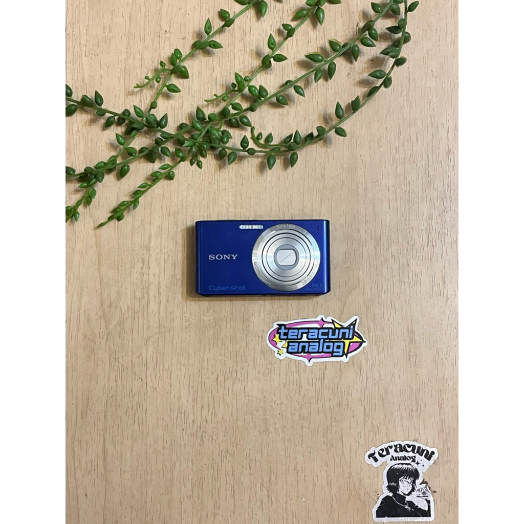 Jual SONY CYBERSHOT DSC W610 | Shopee Indonesia