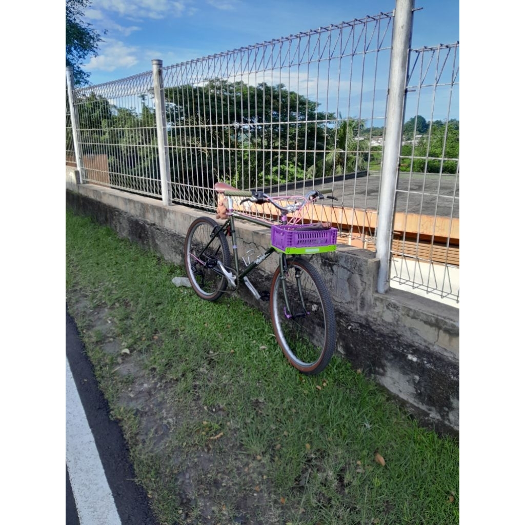 Jual sepeda Mtb commuter raleigh not federal | Shopee Indonesia