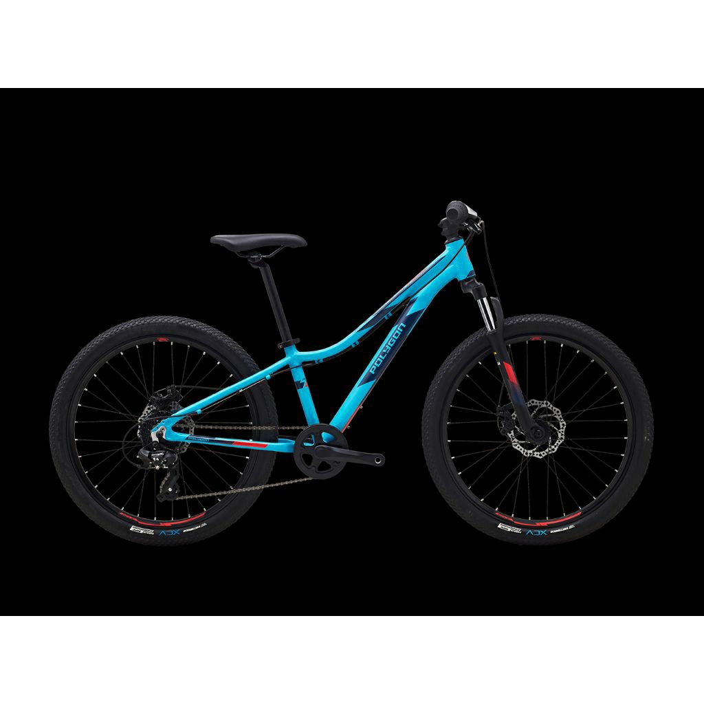 Jual Polygon Relic [24 inch] Sepeda MTB Anak | Shopee Indonesia