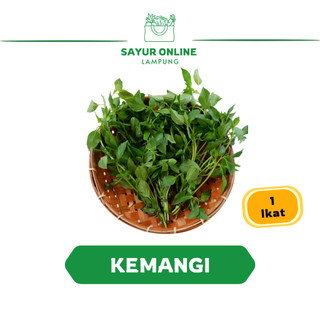 Kemangi Segar