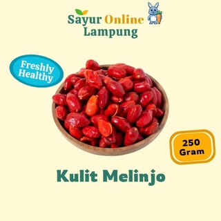 Kulit Melinjo