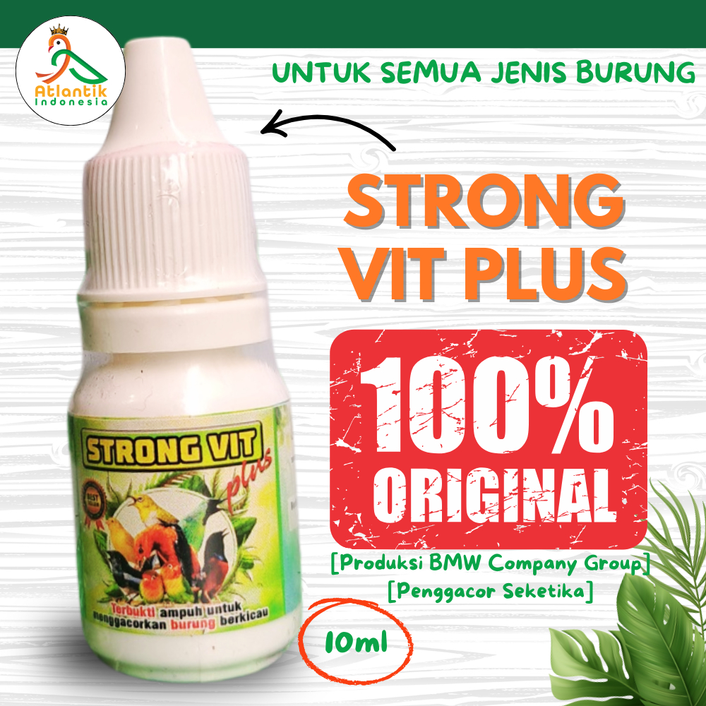 Jual Strong Vit Plus suplemen vitamin burung semua jenis burung ...