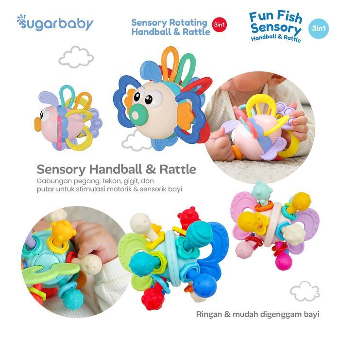 Jual Sugar Baby Fun Fish Sensory Handball & Rattle 3in1 | Sensory ...