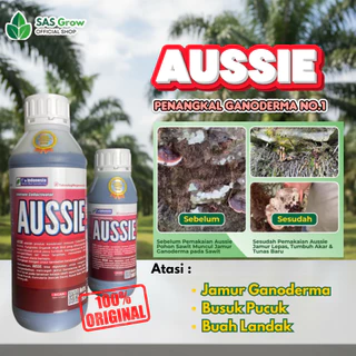 Kojien Obat Busuk Pucuk Sawit 100% Original