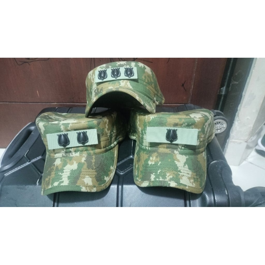 Jual TOPI PET PDL TERBARU PRIMA LIDAH KOREA KAKU DAN TEBAL PANGKAT BESI ...