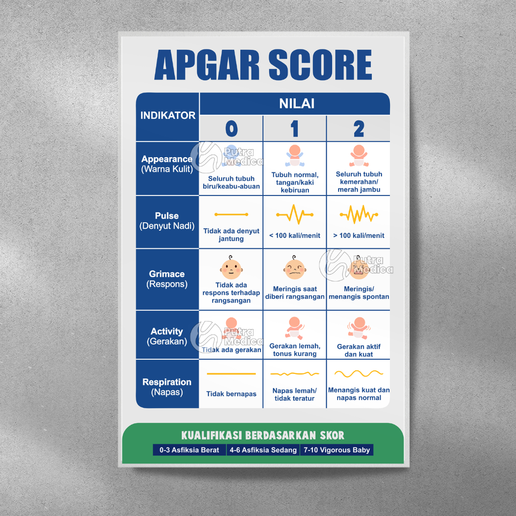 Jual Poster Kesehatan APGAR Score A3+ / Tes Penilaian Bayi Baru Lahir ...